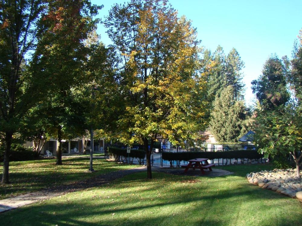 Ponderosa Gardens Motel