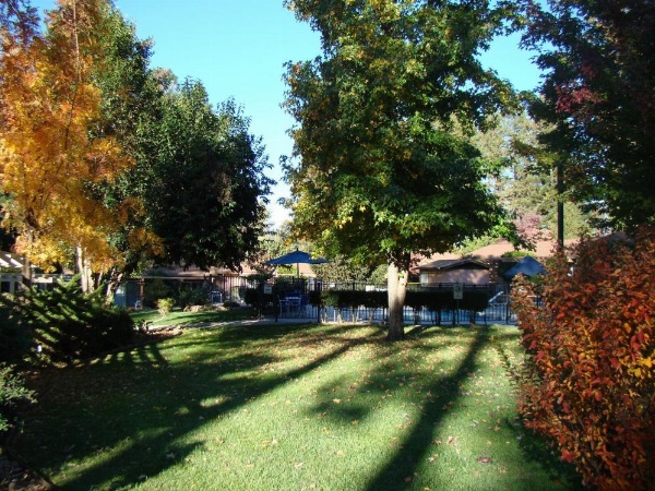 Ponderosa Gardens Motel image 13