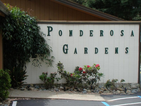 Ponderosa Gardens Motel image 26